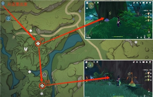 《原神水天丛林中7个枯萎的三相众物具体位置全解析》