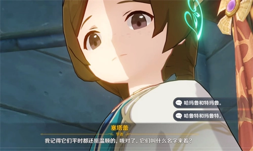 原神中两只猫分别叫什么？塞塔蕾的猫名字全在这里