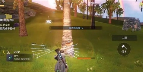 妄想山海里古椰树在什么地方，古椰果又能在哪里找到呢