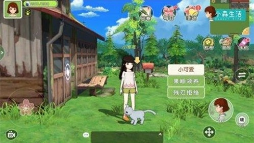 小森生活中如何领养流浪猫？流浪猫领养攻略来啦