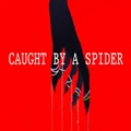 被蜘蛛抓住了(CaughtbyaSpider)安卓版