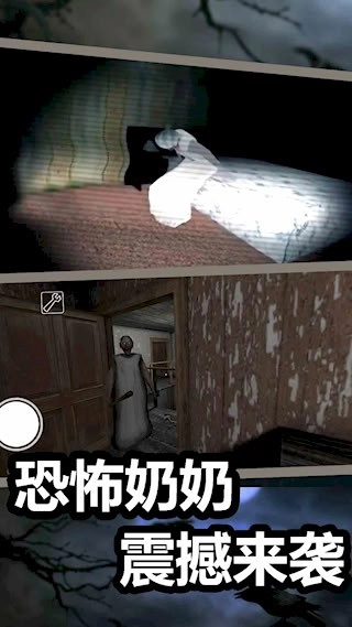 恐怖奶奶7安卓版图2