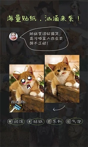 萌宠相机正版(2)