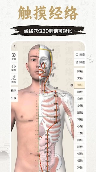 知源經(jīng)絡(luò)穴位安卓版截圖1