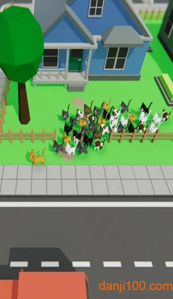 寻找猫咪游戏图2