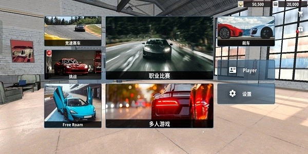 真实赛车体验游戏图2