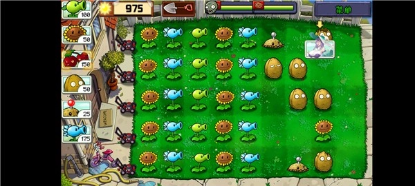 植物娘大战僵尸庄不纯手机版