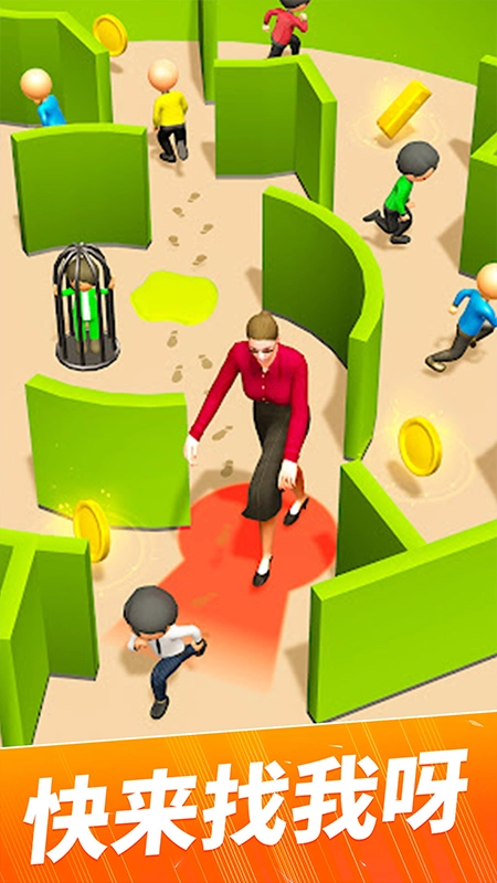 神秘的迷宫游戏