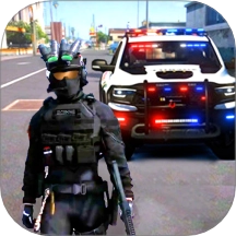 真实警车追逐游戏