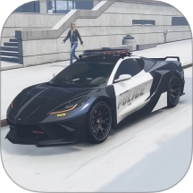 警车特警行动游戏