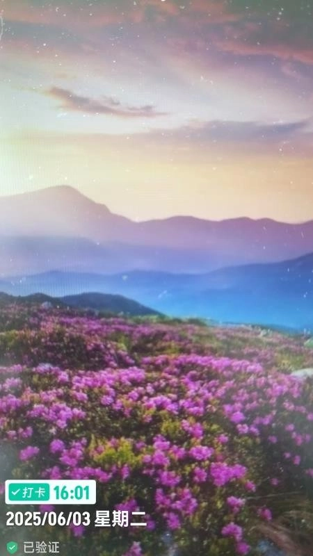 工程水印相机打卡拍照图2