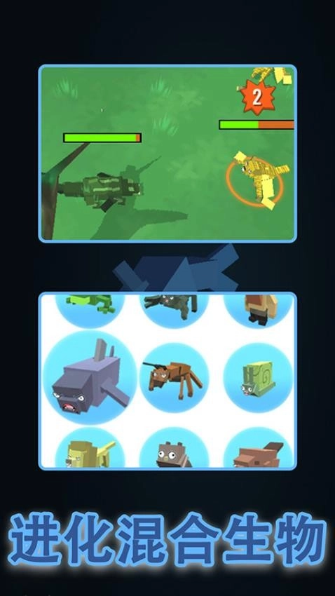 神秘的动物游戏