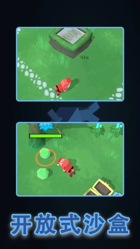 神秘的动物游戏