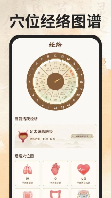 穴位经络图谱软件(5)