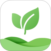 体检报告健康分析助手