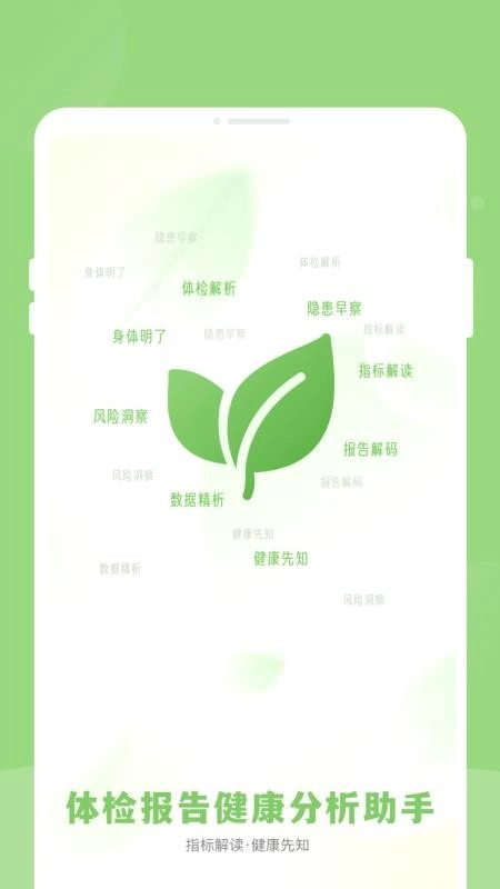 体检报告健康分析助手