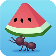 小蚁帝国国际服