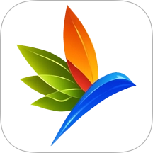 观农四季手机版