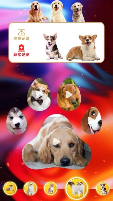 agosda翻译助手最新版