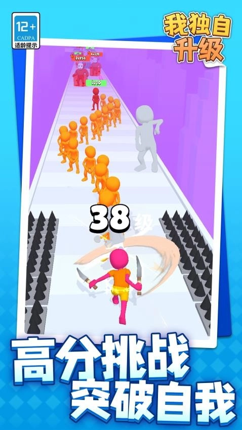 我独自升级游戏5