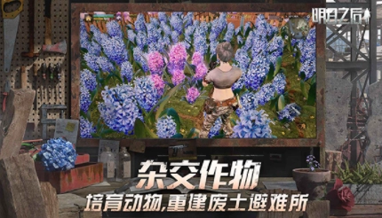 明日之后国际服4