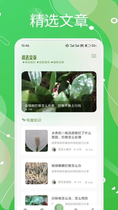 芙蓉花语手机版