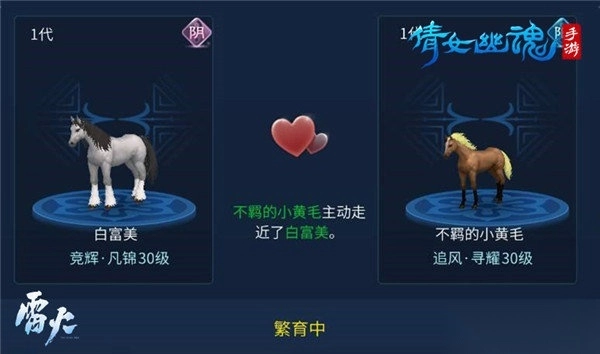 倩女幽魂国际服