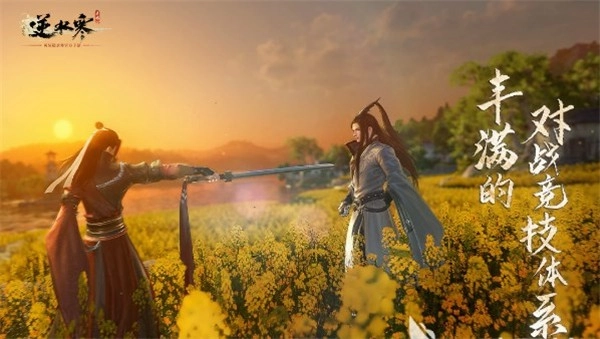 逆水寒国际服(5)