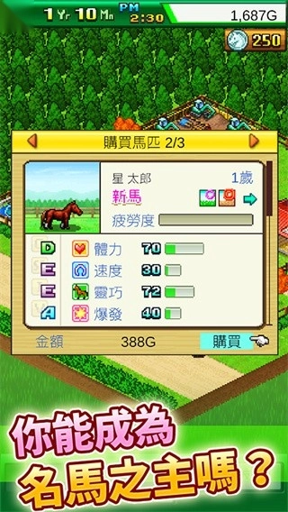 赛马牧场物语游戏图3