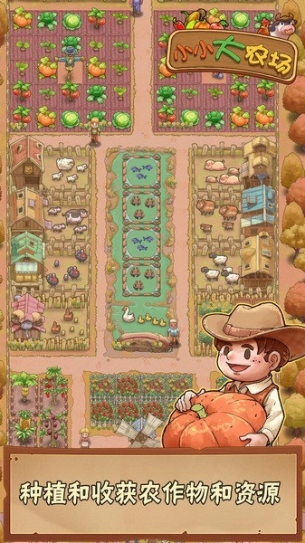 小小大农场图1