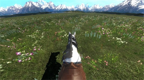 今天你骑马了吗模拟器图1