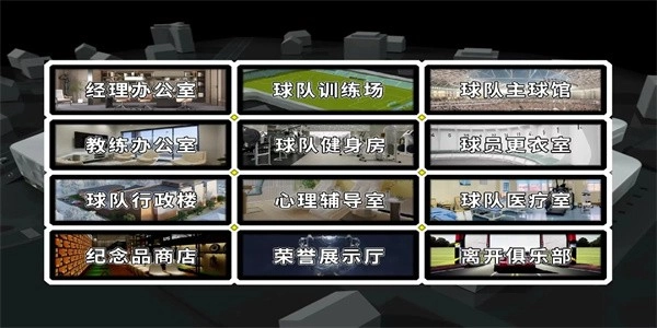 职业足球生涯游戏(4)