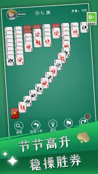 蜘蛛纸牌大师游戏(3)