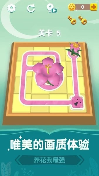 养花我最强游戏(2)
