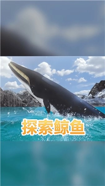 海洋3d蓝鲸模拟游戏图2