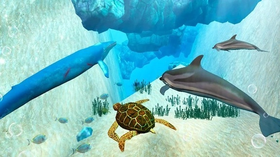 蓝鲸海洋生物模拟3D(3)