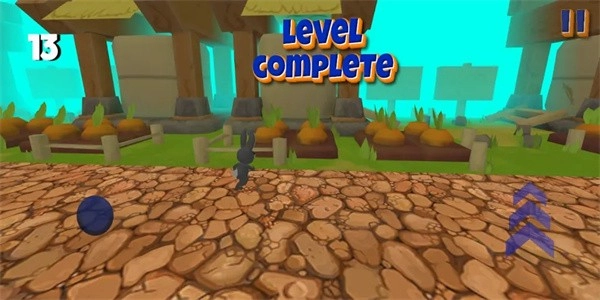 超级兔子冒险游戏(2)