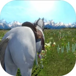 今天你骑马了吗模拟器完整版下载-今天你骑马了吗模拟器手游下载