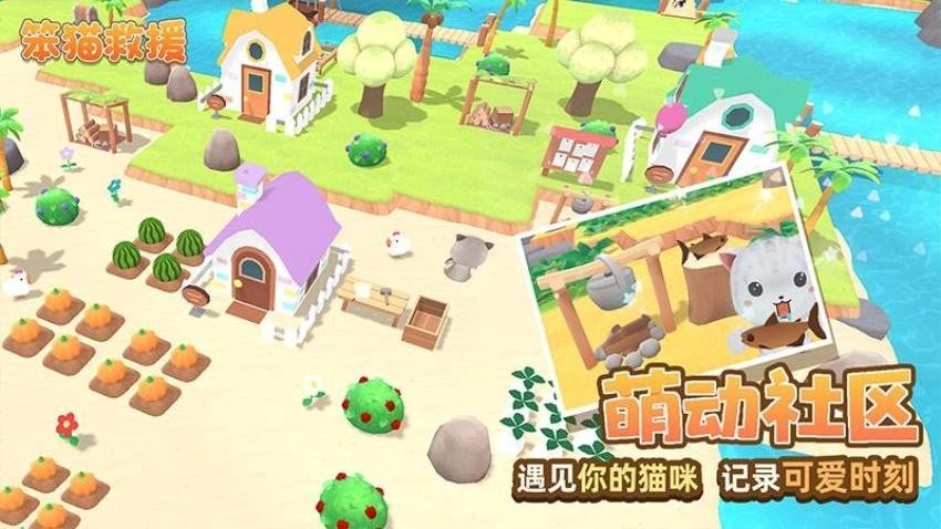 笨猫救援游戏(3)