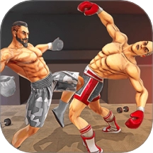 功夫格斗大师游戏