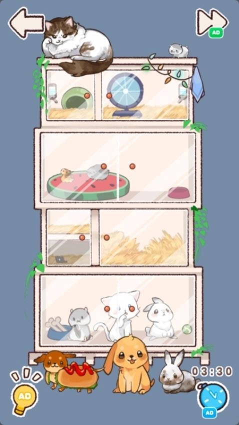 小屋收纳物语游戏图3