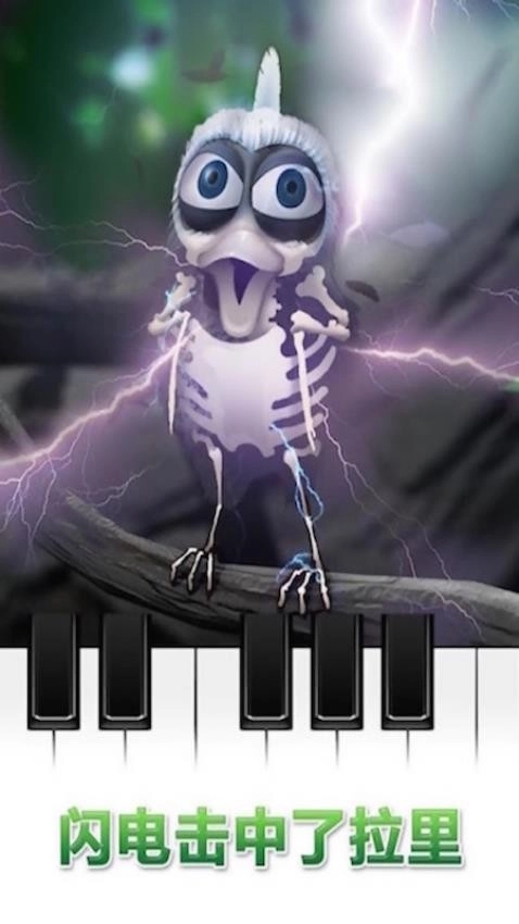 会说话的拉里鸟(3)