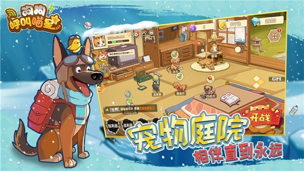 狗狗呼叫喵星(4)