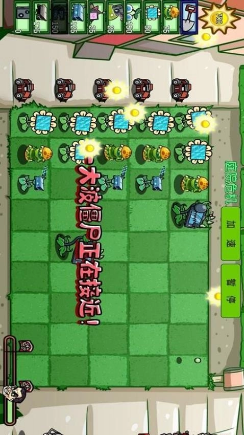 植物击退僵尸游戏截图3