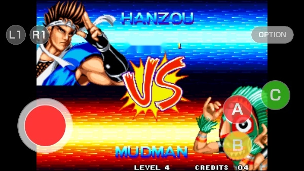 世界英雄2游戏(4)