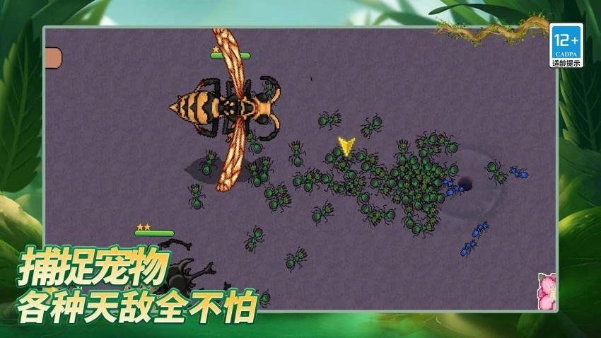 岛上我最溜游戏(3)