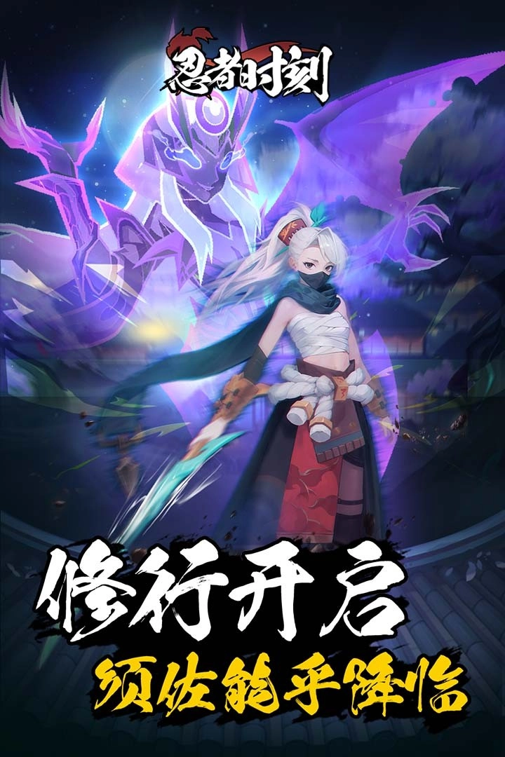 忍者时刻游戏(4)