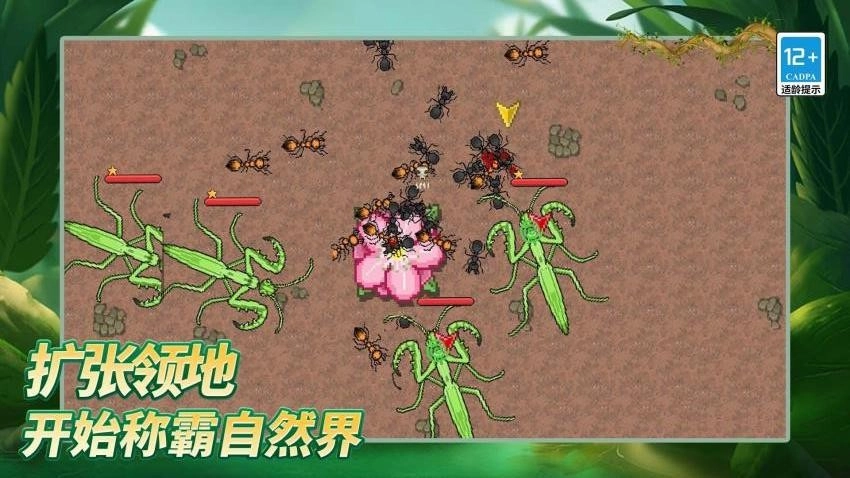 岛上我最溜游戏(4)