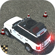 真实模拟司机驾驶游戏