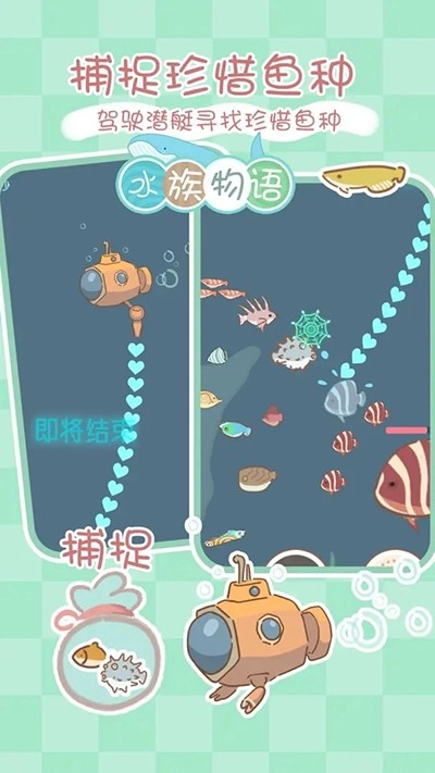 水族物语游戏(1)